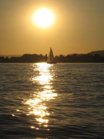 Sommer 035.jpg   21kb   26.03.2021 22:31:23